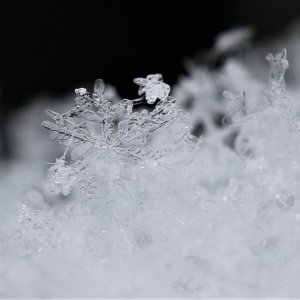 Snowflake. 21.02.02