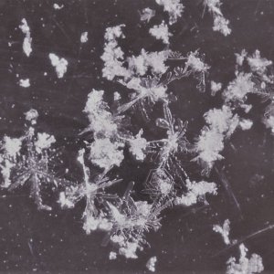 Snowflakes 21.02.28