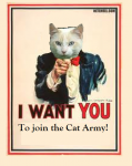 i_want_you______cat_free_fella__by_cxt1-d4urh78.png
