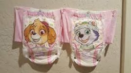 girl pup diapers front.jpg