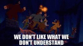 we dont like what we dont understand.gif