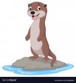 cartoon-otter-standing-on-stone-vector-36464608.jpg