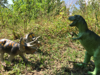 T.Rex VS Triceratop Pair.png