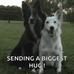 dog-hug.gif