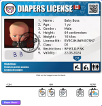 Screenshot 2023-06-30 at 15-21-18 Baby Boss - License number EV9CJHJW9407SN7 Diaper_Potty Lice...png