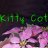 KittyCot