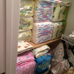 my diaper closet1.JPG