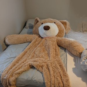 My new Teddy Bear