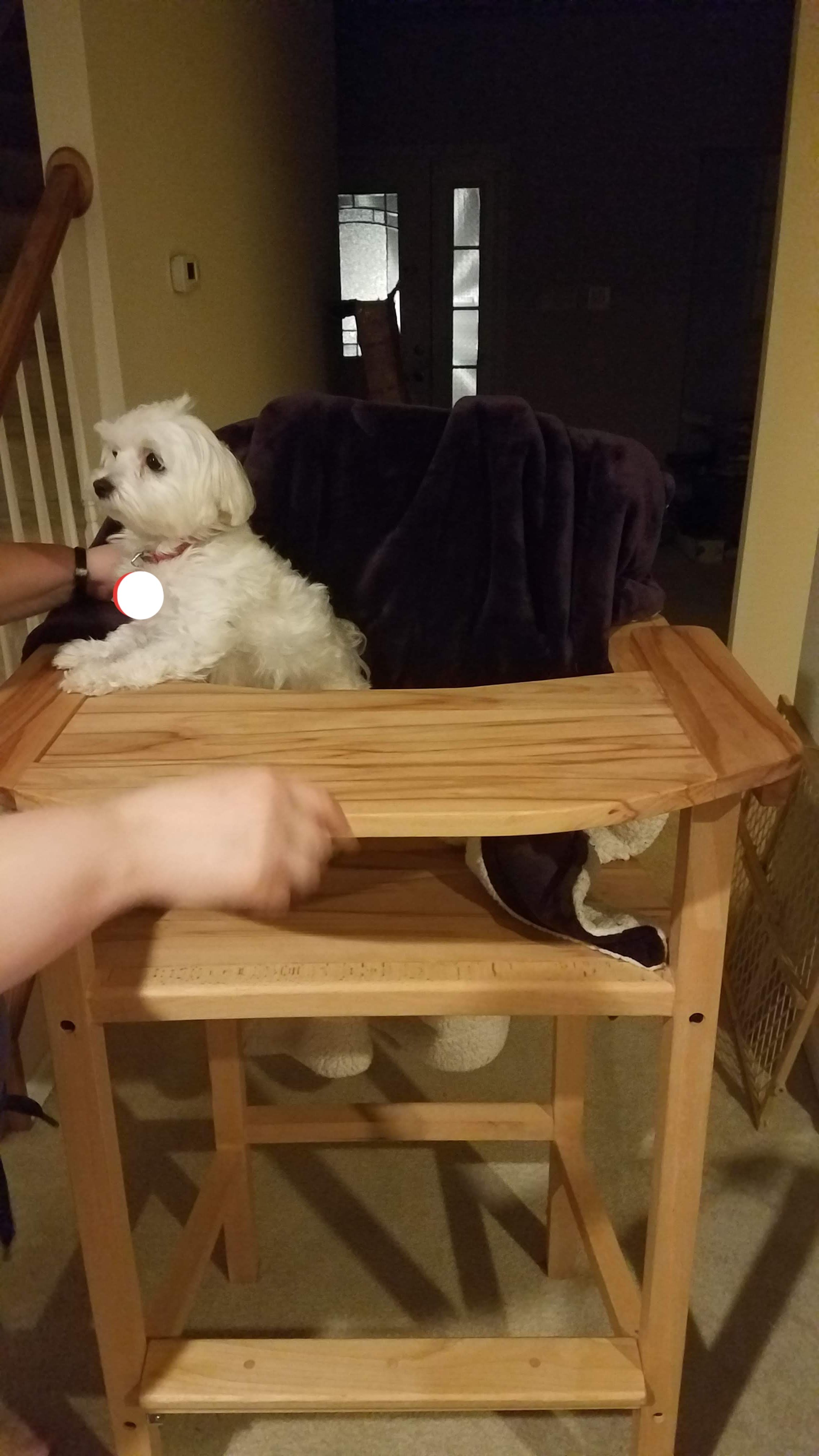 K-bear trying out highchair